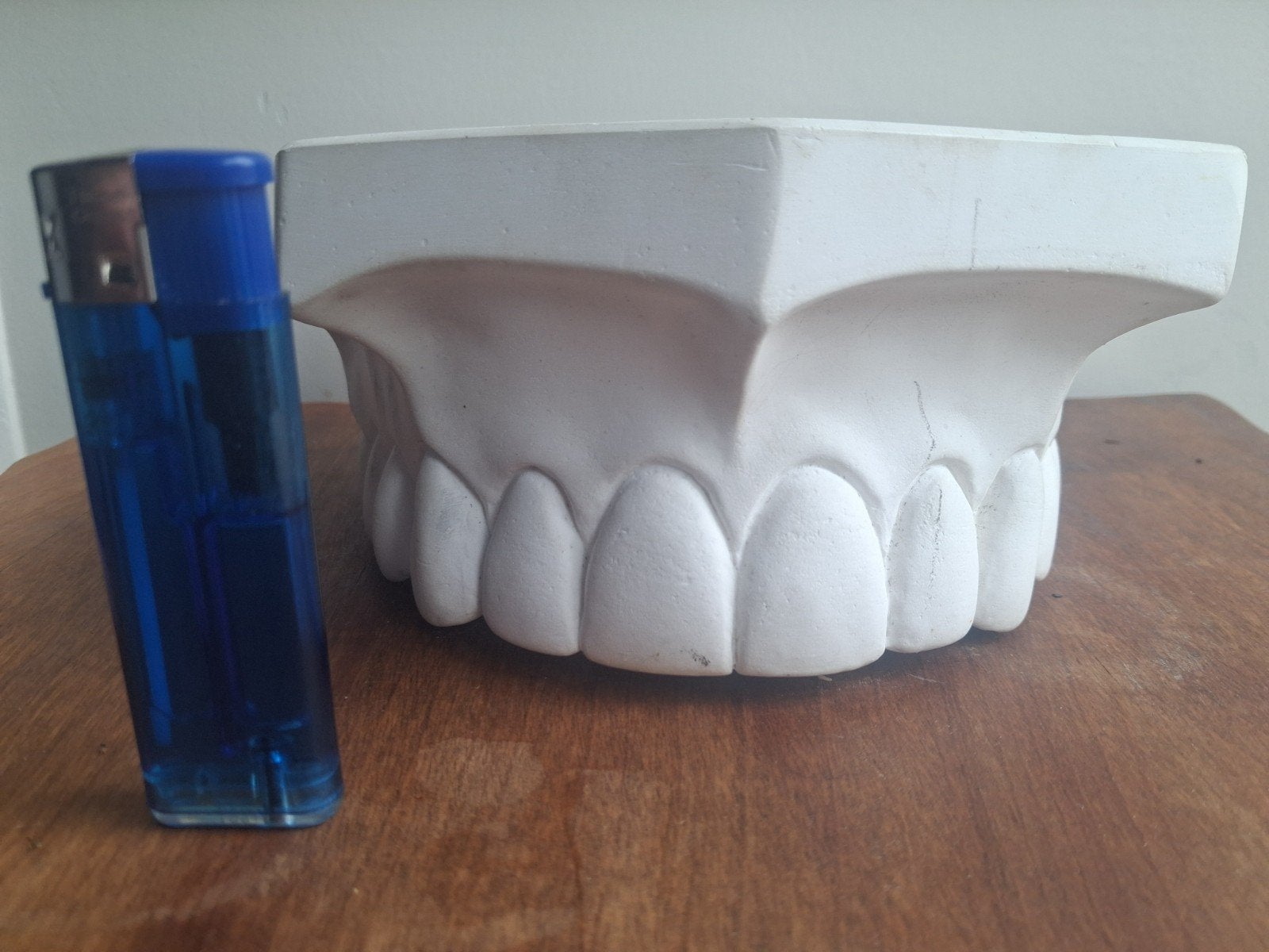 Groot model bovengebit, Ophalen of Verzenden