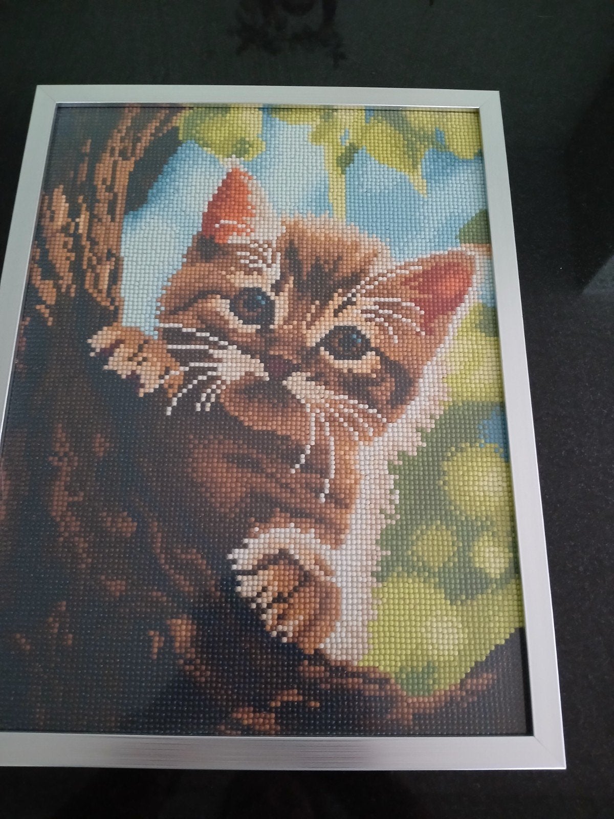 poes ophalen, Ophalen of Verzenden, 10 inch, 16 GB