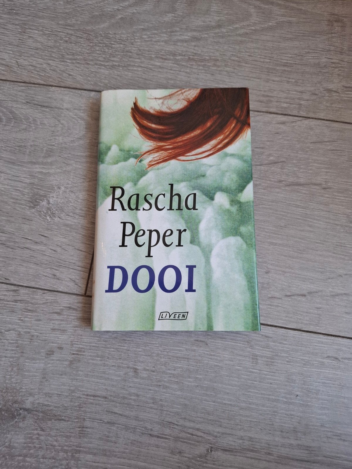 Dooi - Rascha Peper, Boeken, Romans, Zo goed als nieuw, Ophalen of Verzenden