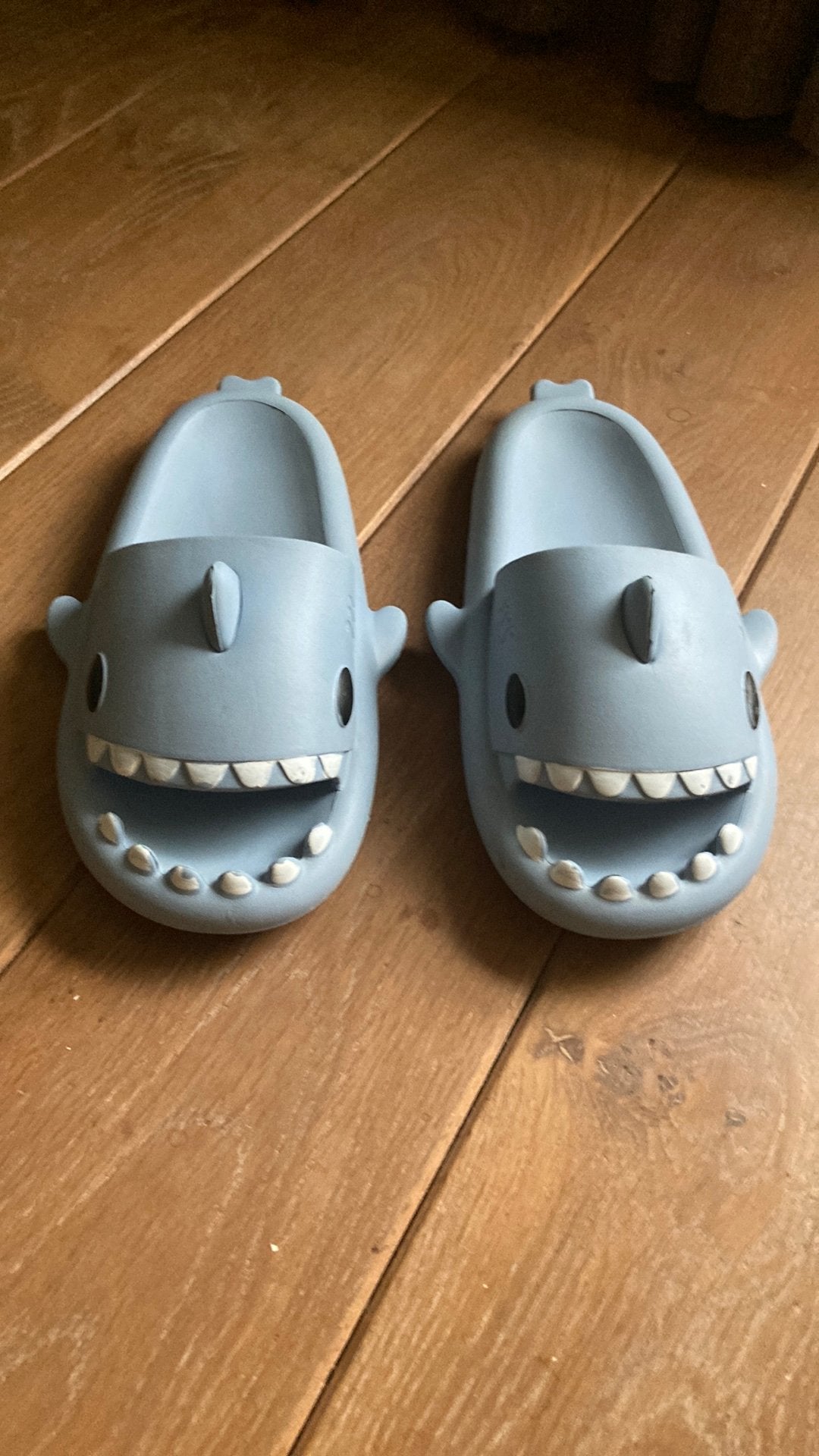 Slippers maat 43-44, Ophalen, Zo goed als nieuw, Overige kleuren