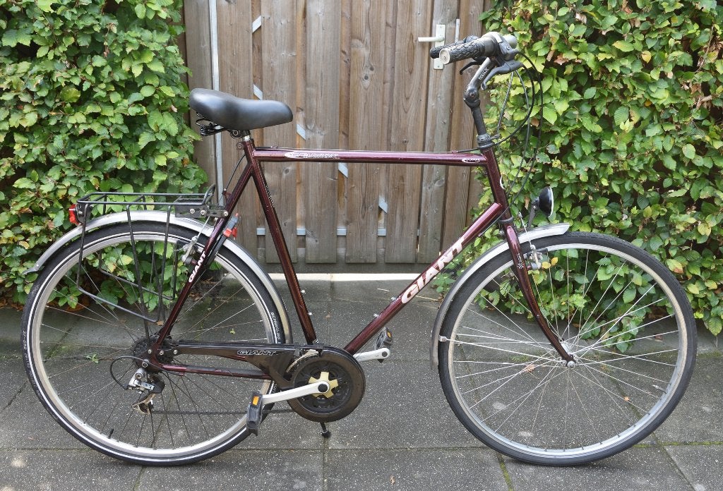 Giant GROTE herenfiets 21speed frame=66cm(!) 28inch, Ophalen, Velgrem, Versnellingen, Giant