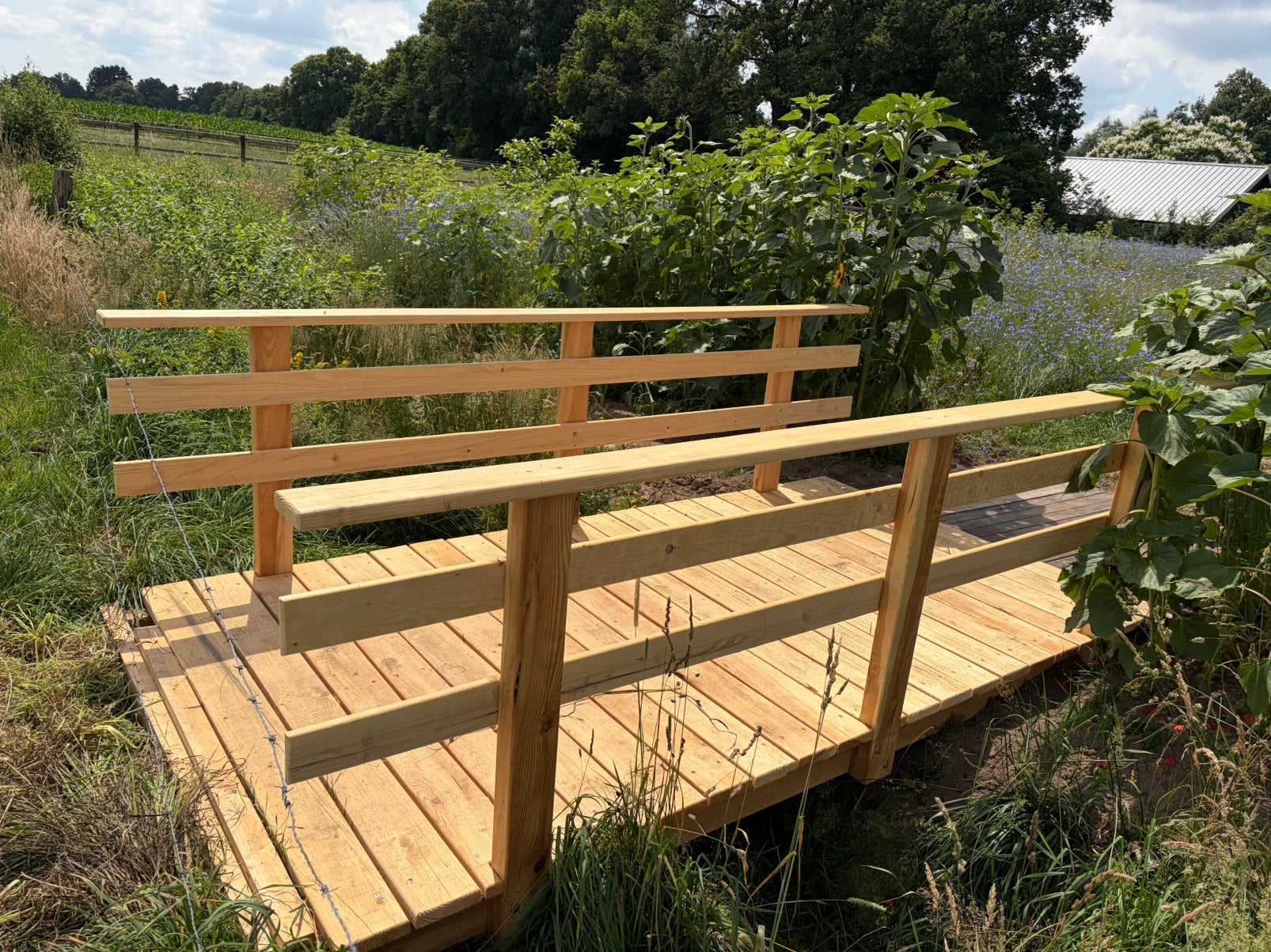 Mooie nieuwe houten loopbrug, Doe-het-zelf en Verbouw, Steigers, Ophalen, Nieuw, Overige typen, Minder dan 2 meter