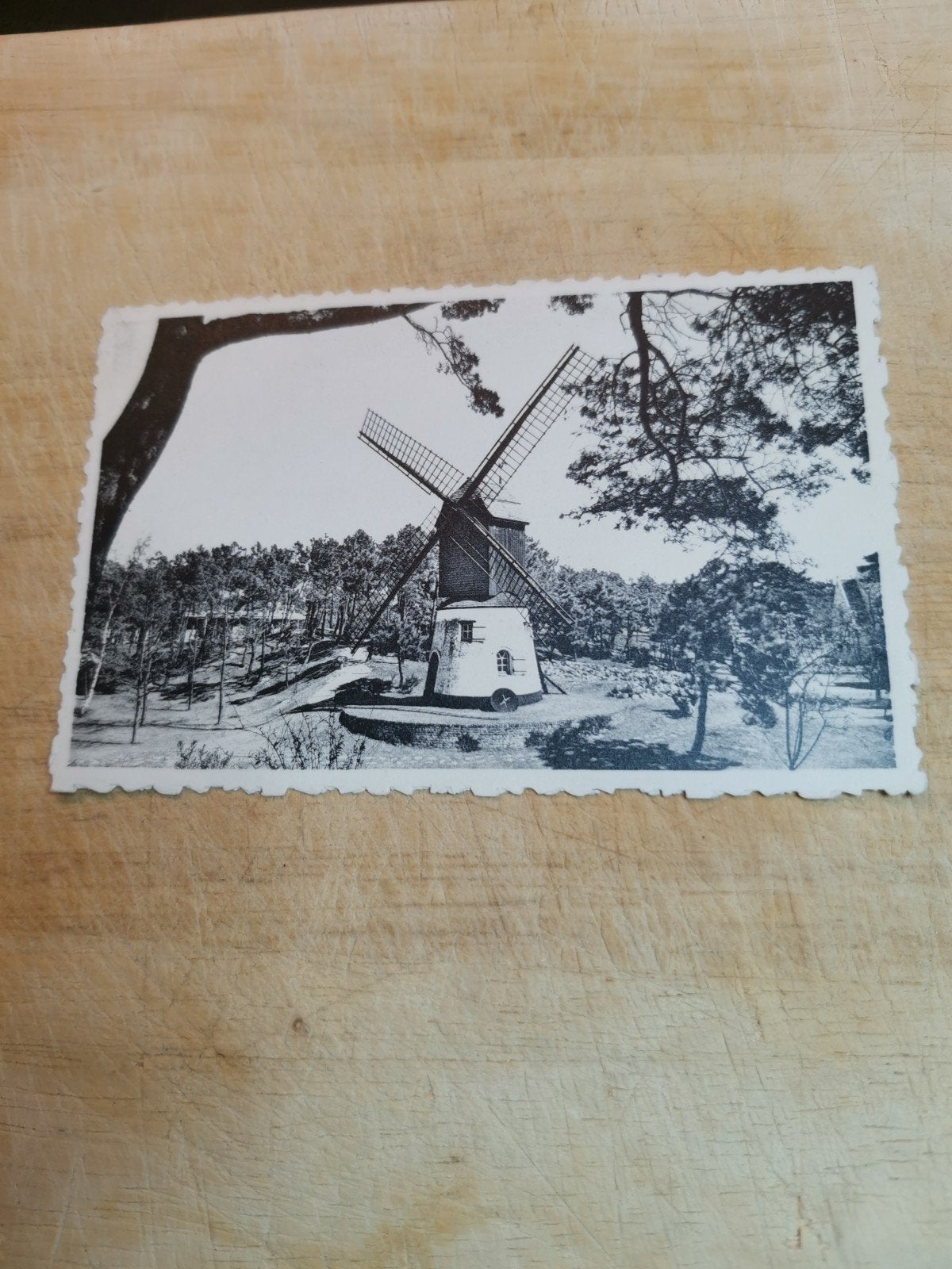 Oude Ansichtkaart: De Oude Molen, Knokke-Zoute (1940-1960), Ophalen of Verzenden, 1940 tot 1960, Gelopen, West-Vlaanderen