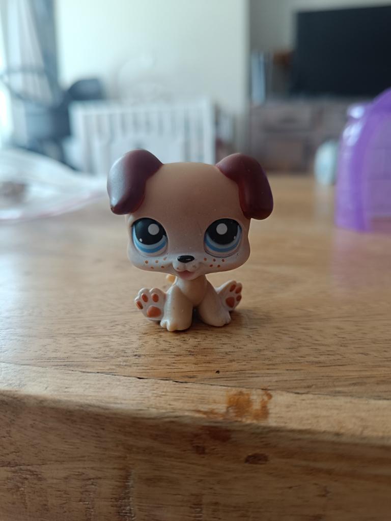 Littlest Petshop 143, Ophalen of Verzenden, Gebruikt