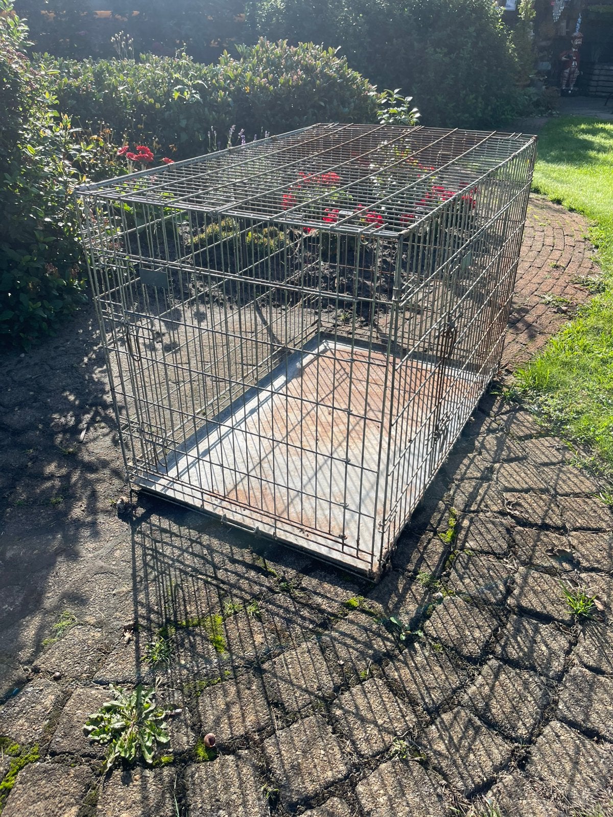 Hondenhok, Ophalen, Zo goed als nieuw, 65 tot 100 cm