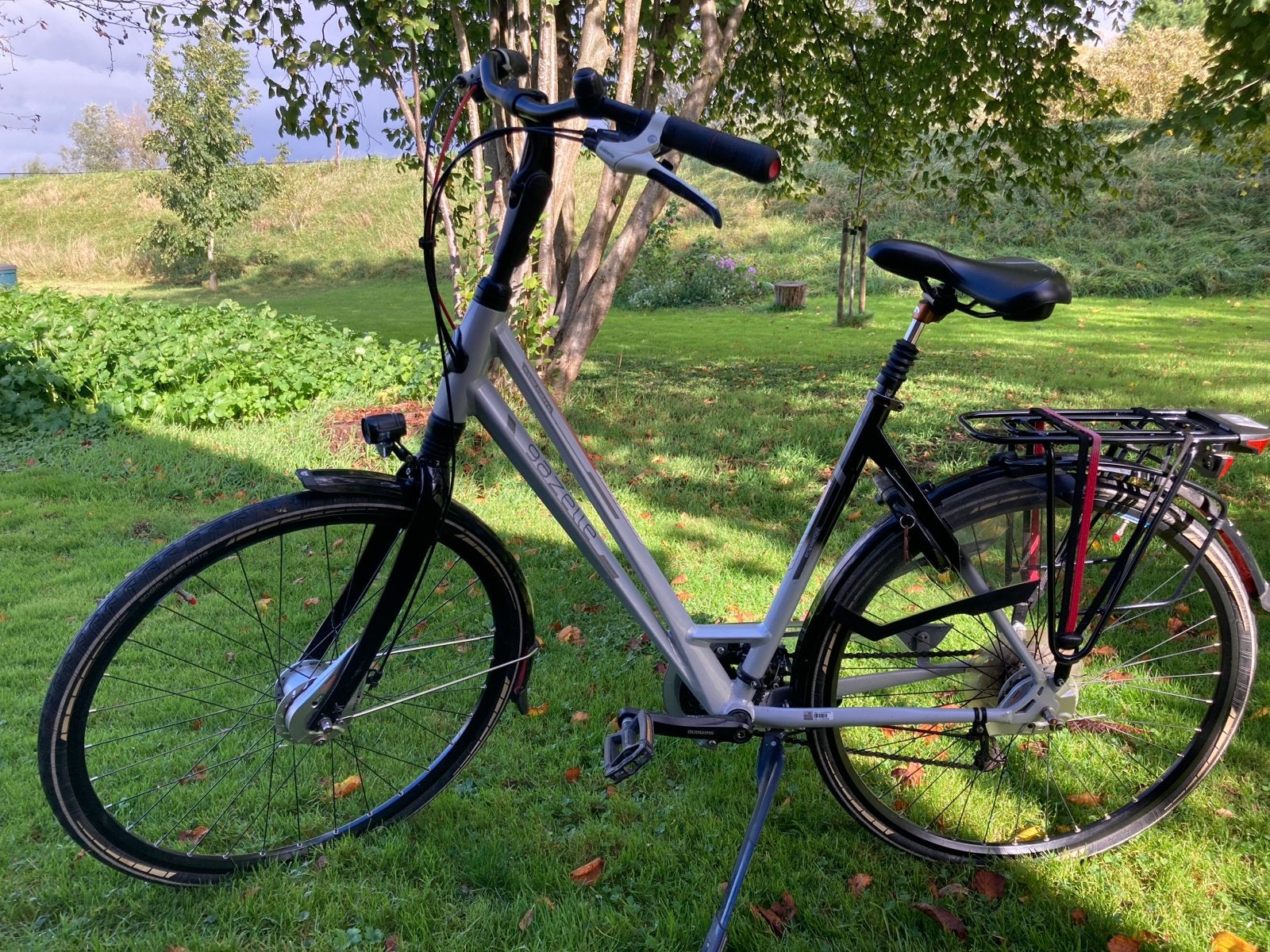 Gazelle Eclipse T24 Damesfiets - 53 cm - 24 versnellingen, Ophalen, Versnellingen, Gazelle, Trommelrem