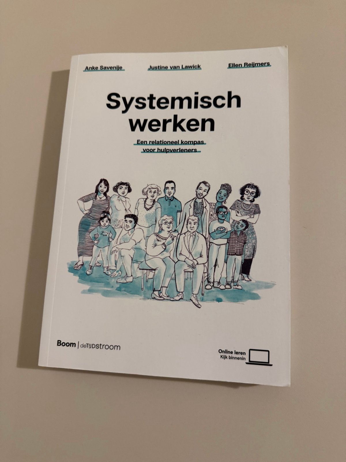 Systemisch werken: Een relationeel kompas voor hulpverleners, Boeken, Studieboeken en Cursussen, Ophalen of Verzenden, Gamma, Zo goed als nieuw