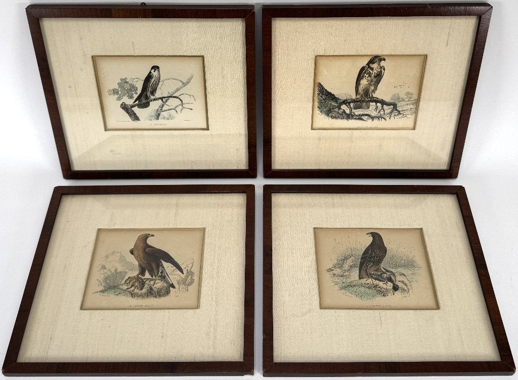 1290. Gravures, Edouard Traviès - roofvogels, 19e eeuw, Ophalen