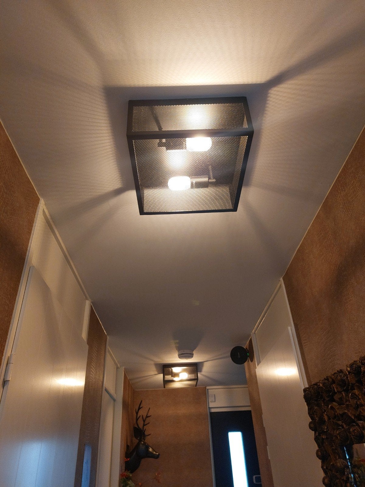 plafondlamp, Huis en Inrichting, Lampen | Plafondlampen, Ophalen, Zwart, Zo goed als nieuw, Metaal