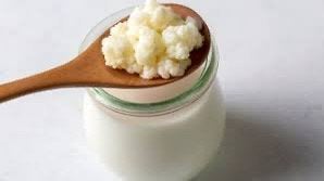 Kefir korrels, Diversen, Levensmiddelen, Ophalen
