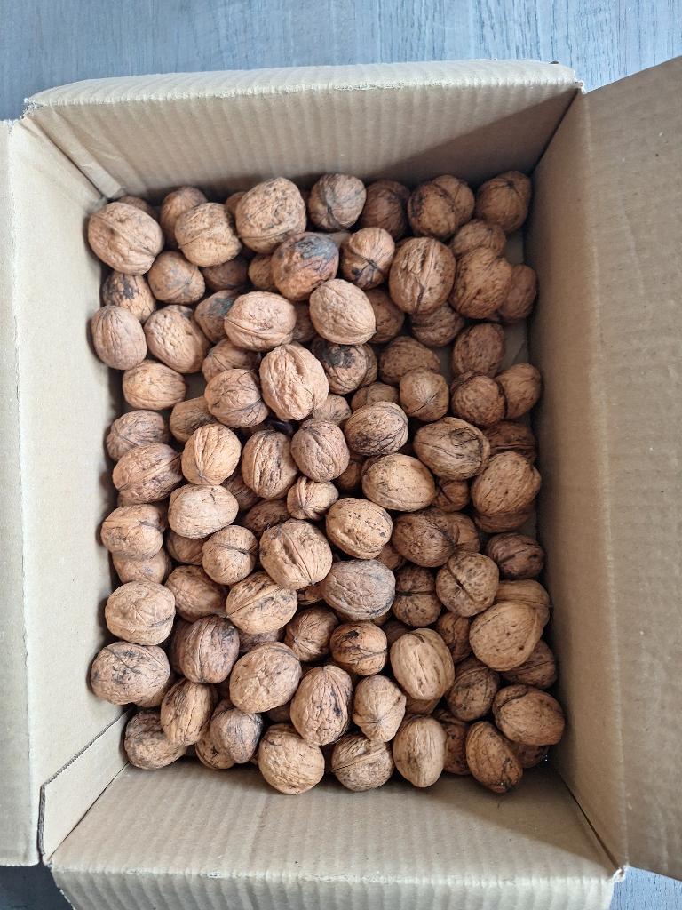 Gedroogde walnoten 1 kilo, Ophalen of Verzenden