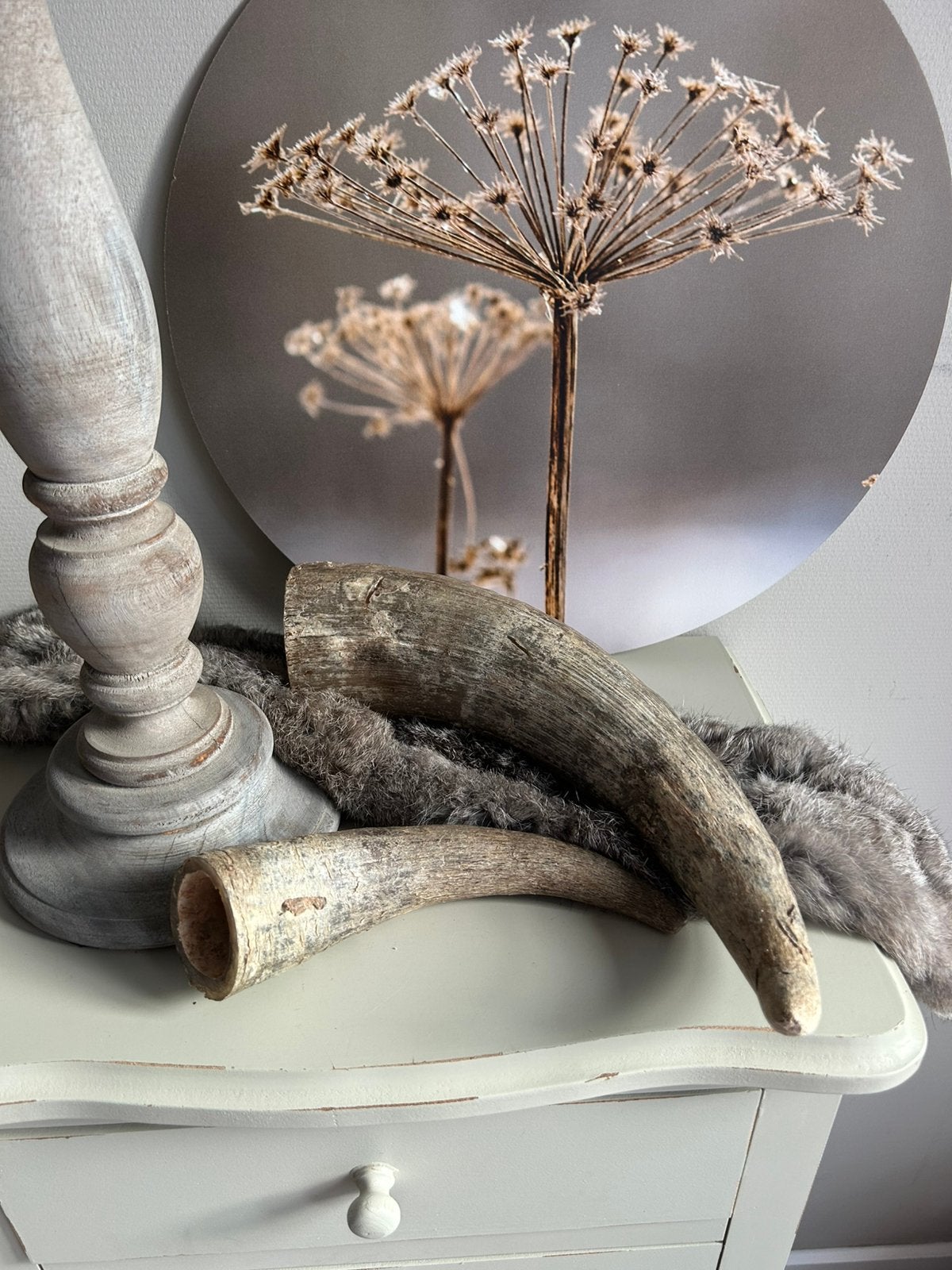 Landelijk, sober & stoer hoorns groot & klein, Ophalen of Verzenden, Natuurlijk materiaal, Bruin, Landelijk