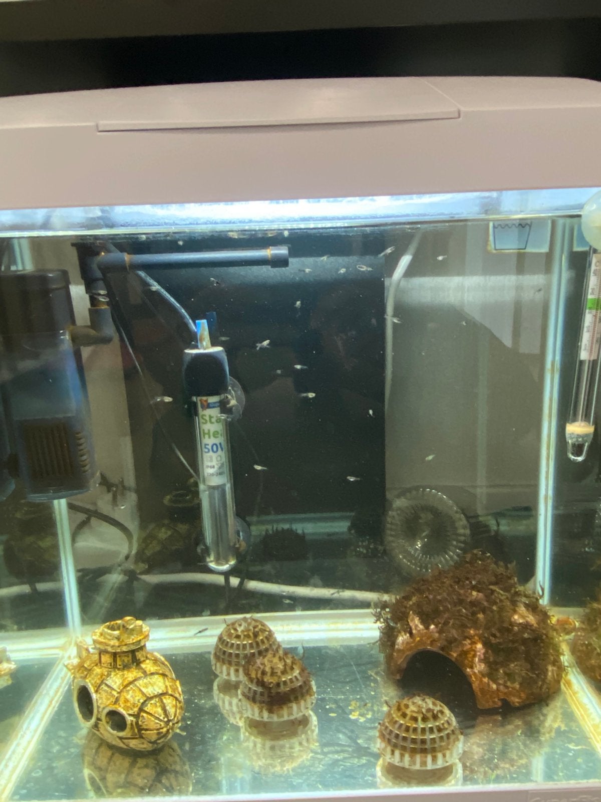 SuperFish Start 30L – Wit, Ophalen, Zo goed als nieuw