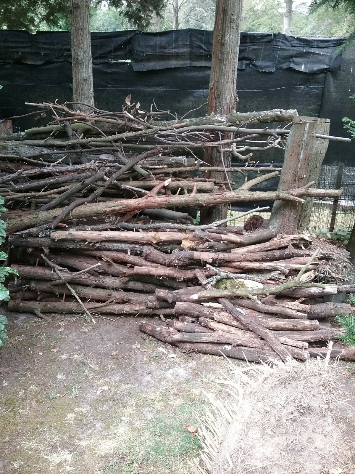 Stapel hout, Tuin en Terras, Haardhout, Minder dan 3 m³, Ophalen of Verzenden