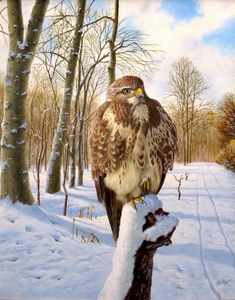 Wildlife schilderijen – vogels, uilen en dieren, Paneel, Realistisch, Dieren, Ophalen of Verzenden