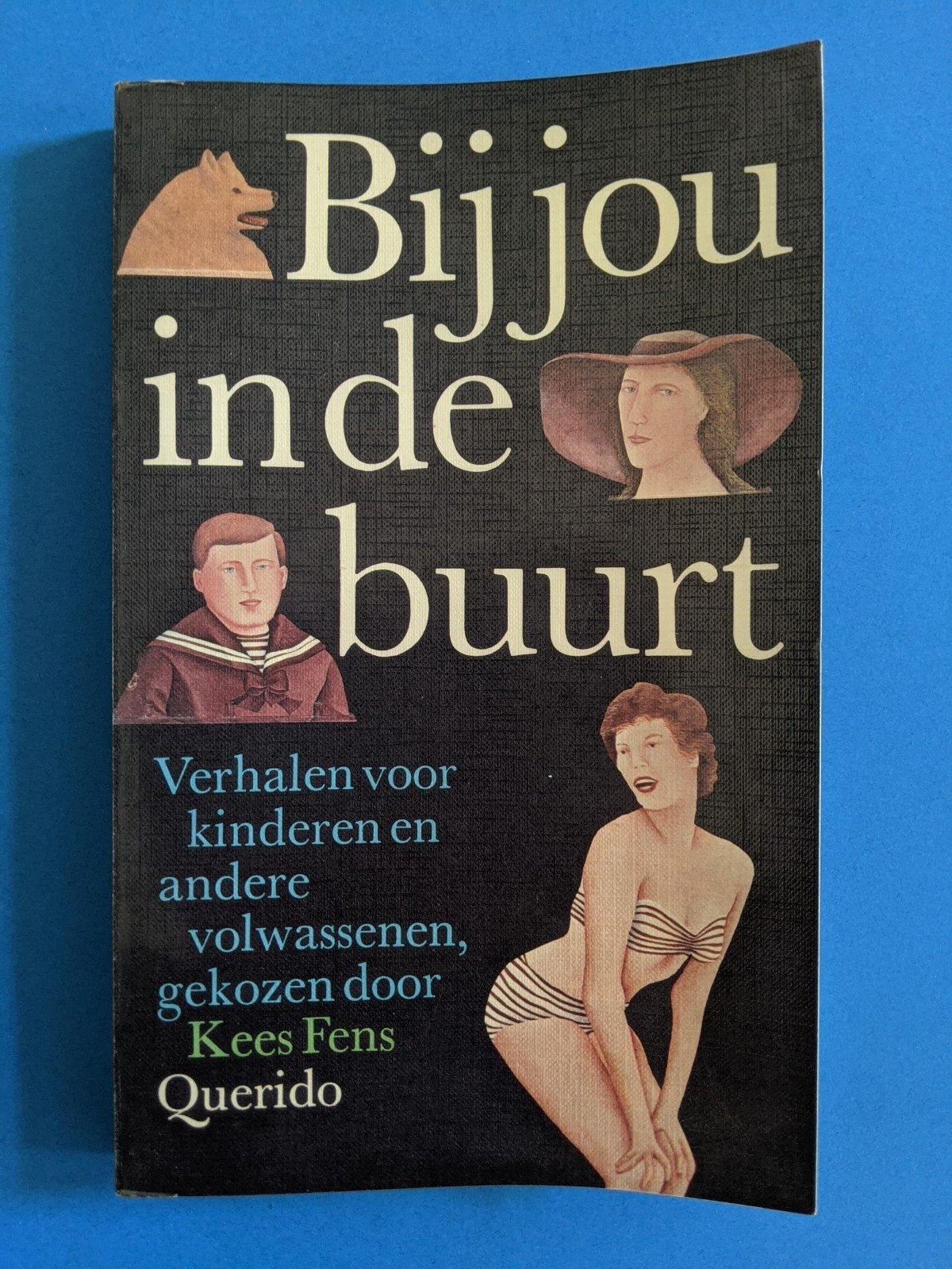 Bij jou in de buurt, Verhalen gekozen door Kees Fens, Ophalen of Verzenden, Gelezen, Nederland