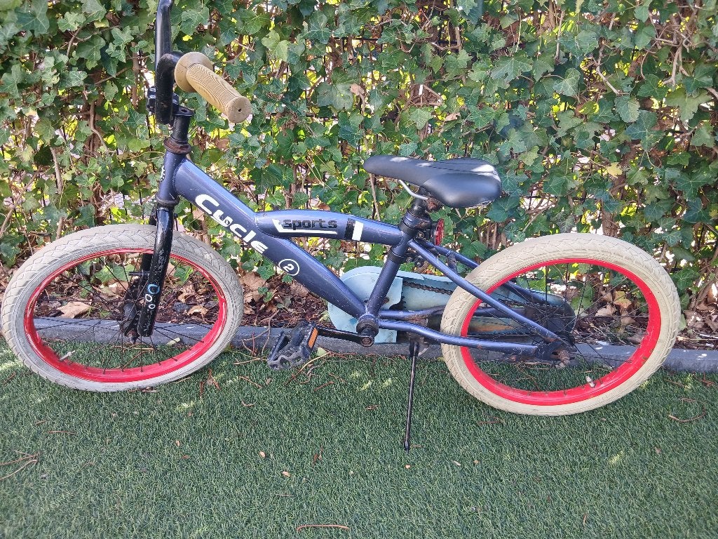 Kinderfiets, Fietsen en Brommers, Terugtraprem, Ophalen, 2cycle, 16 tot 20 inch
