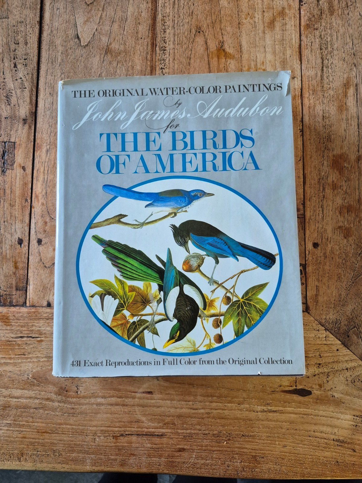 Audubon: The Original Water-Color Paintings for The Birds, Ophalen, Gelezen