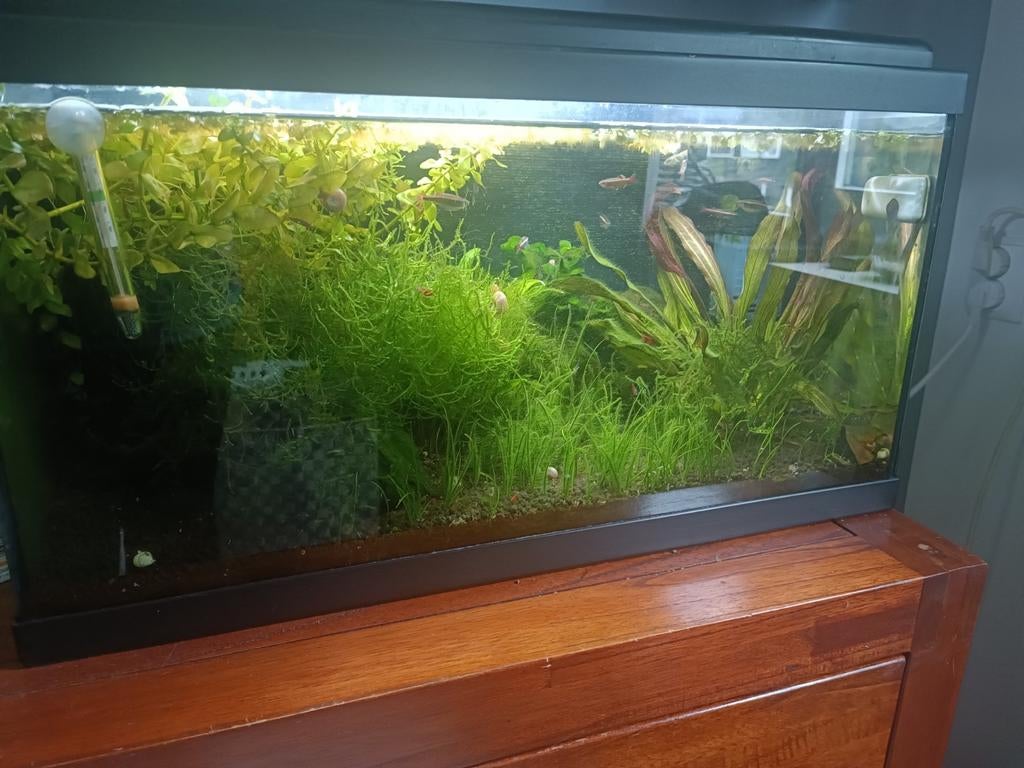 Aquarium  Compleet., Dieren en Toebehoren, Vissen | Aquaria en Toebehoren, Gevuld zoetwateraquarium, Ophalen