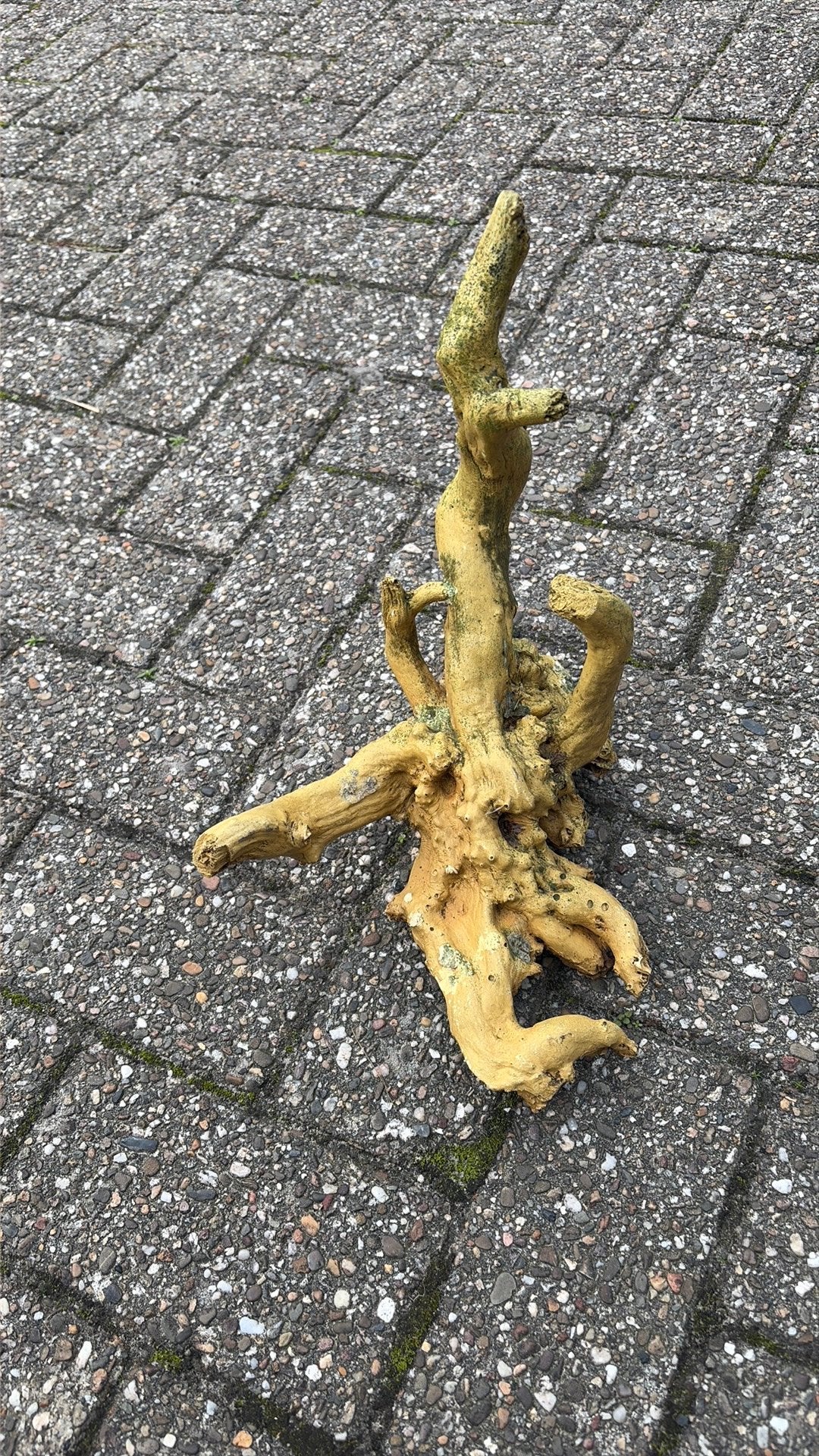 Stuk nep hout decoratie, Ophalen of Verzenden, Zo goed als nieuw, Plant(en), Steen of Hout