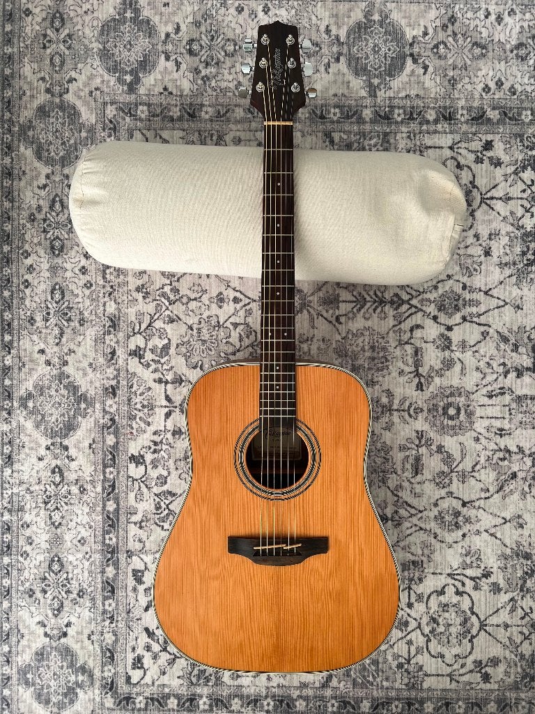 Takamine GD20-NS gitaar | akoestische dreadnought western, Ophalen, Zo goed als nieuw, Western- of Steelstringgitaar