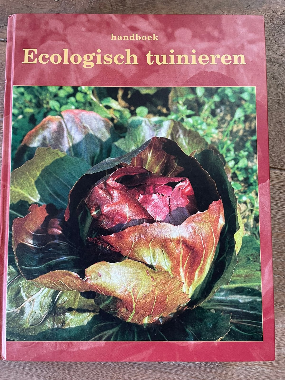H. van Boxem - De moestuin, H. van Boxem; G. Buysse, Moestuin, Ophalen of Verzenden, Zo goed als nieuw