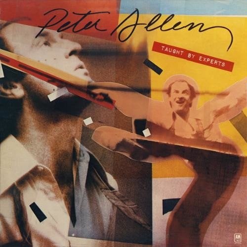Peter allen ‎ taught by experts lp, LP, Gebruikt, Ophalen of Verzenden, Beschermende buitenhoes
