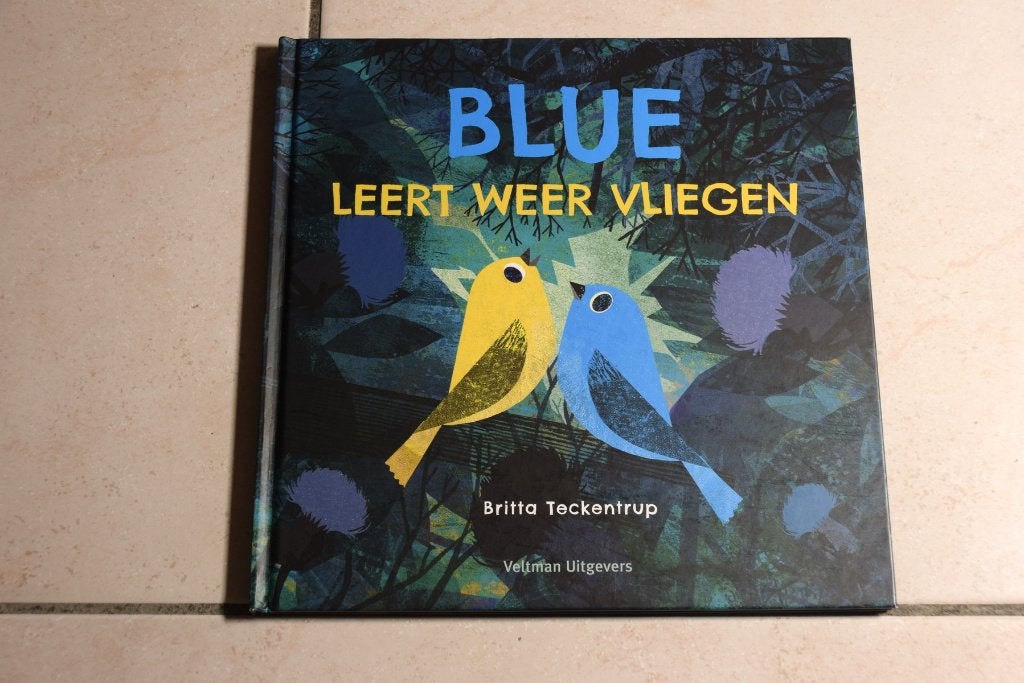 Blue leert weer vliegen / Britta Teckentrup, Fictie algemeen, Jongen of Meisje, Ophalen of Verzenden, Zo goed als nieuw