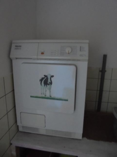 Wasdroger, Ophalen, Gebruikt, 4 tot 6 kg, Voorlader