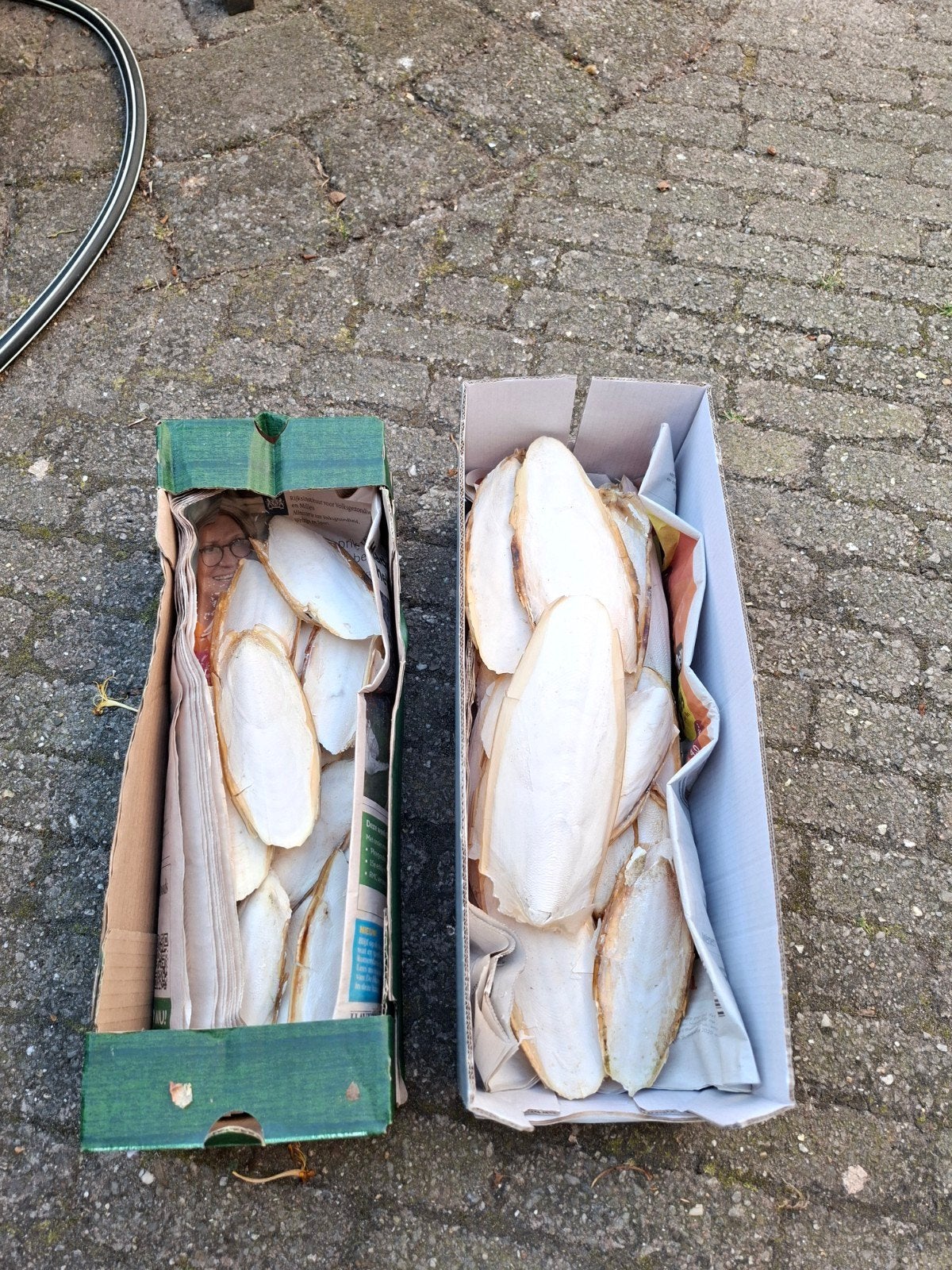 Sepia 2 doosjes, Dieren en Toebehoren, Ophalen