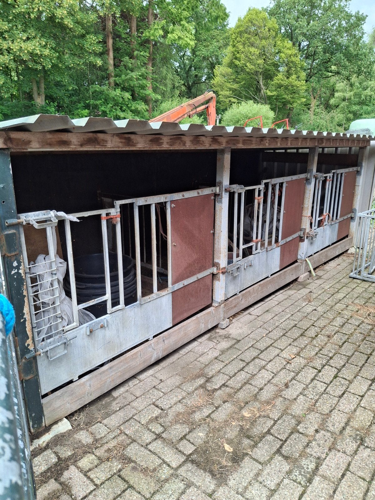 Kalveropfokhok, Dieren en Toebehoren, Stalling en Weidegang