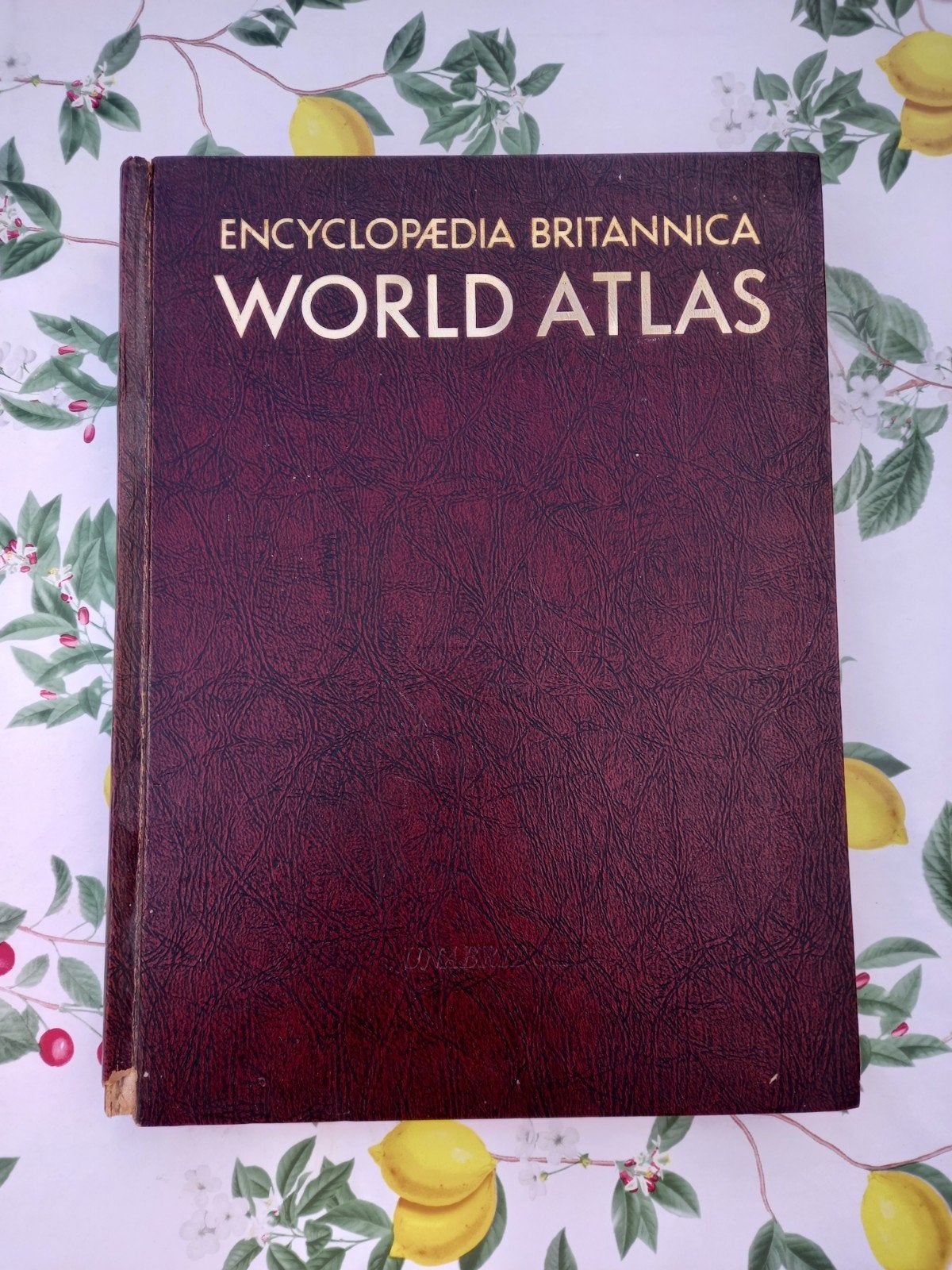 l Encyclopaedia Britannica World Atlas - Vintage Editie, Gelezen, Overige atlassen, Encyclopaedia Britannica, Ophalen of Verzenden