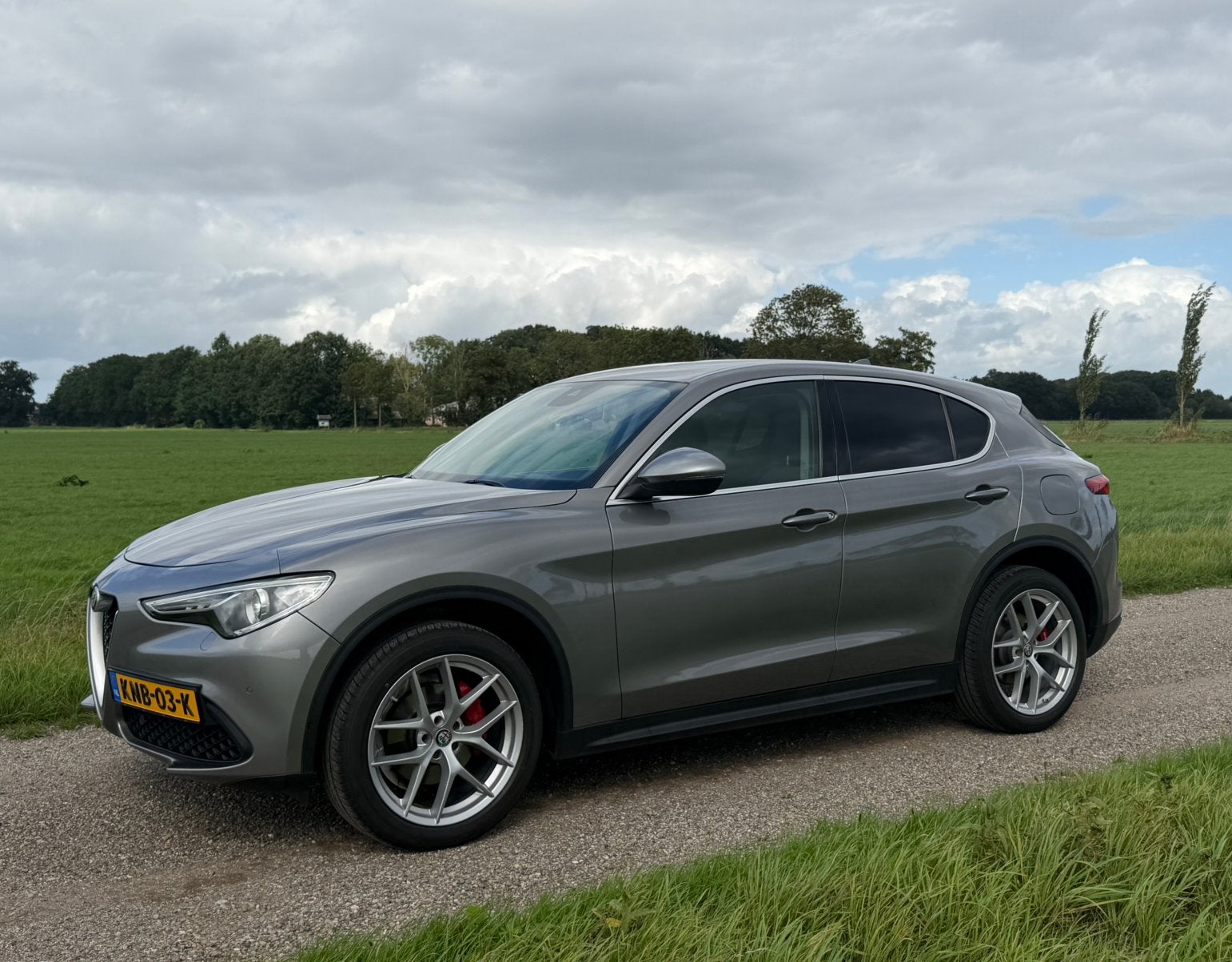 Alfa Romeo Stelvio 2.0 280pk AWD 2017 Veloce First edition, Auto's, Automaat, 1995 cc, 4 cilinders, Vierwielaandrijving