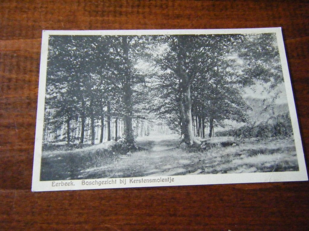 Q42 - Eerbeek - Bosch bij Kerstensmolentje - 1929 - Mooi/Oud, Verzamelen, Ophalen of Verzenden, 1920 tot 1940, Gelderland