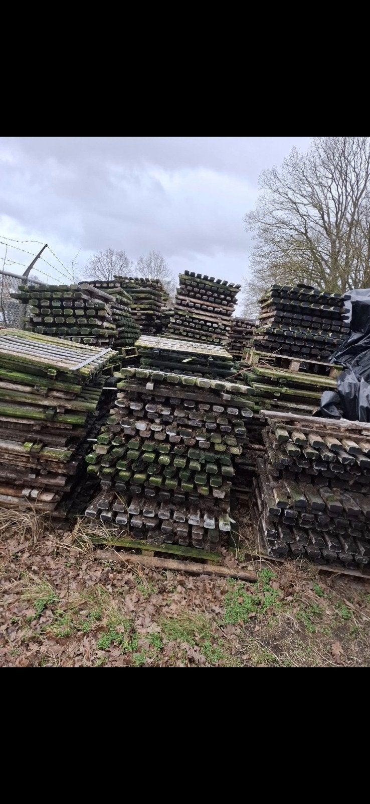 Azobe stalroosters partij brandhout vlondershard  hout, Tuin en Terras, Palen, Balken en Planken, Ophalen of Verzenden, 250 cm of meer