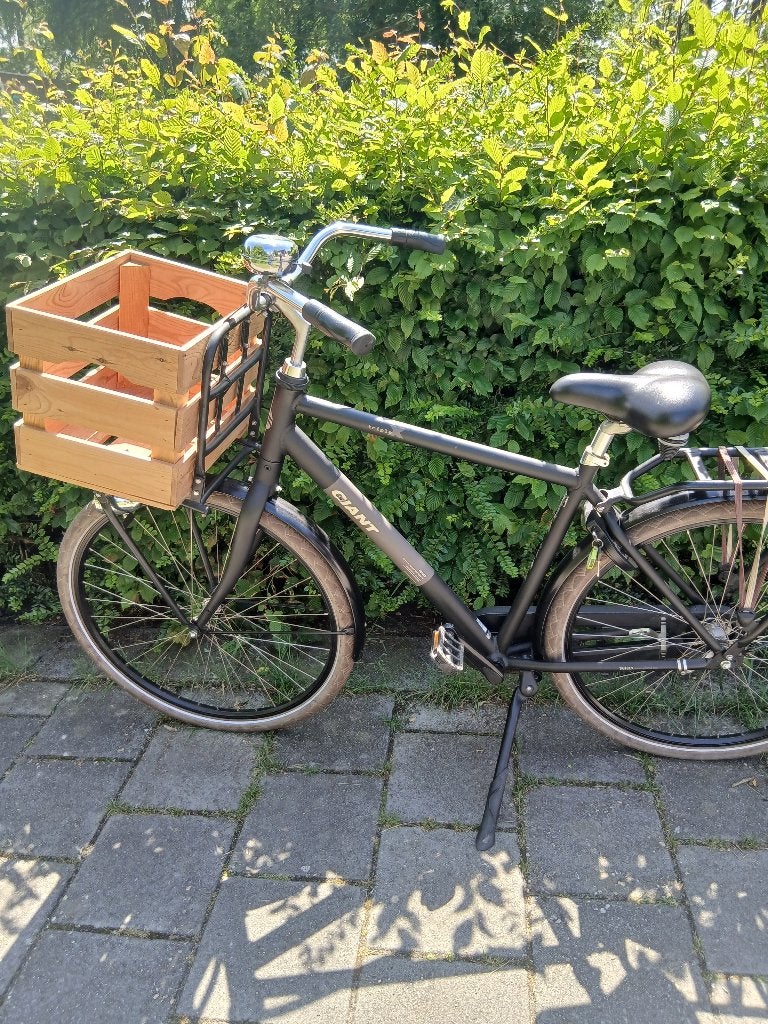 Heren Fiets Giant Triple, Ophalen, Zo goed als nieuw, Terugtraprem, Giant