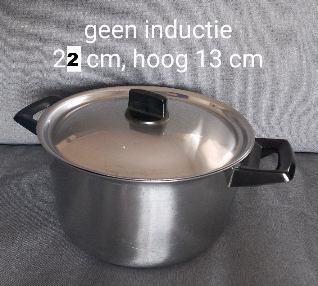 bk-karaat kookpan, z.g.a.n, 22 cm, Ophalen, Zo goed als nieuw, Rvs, Kookpan
