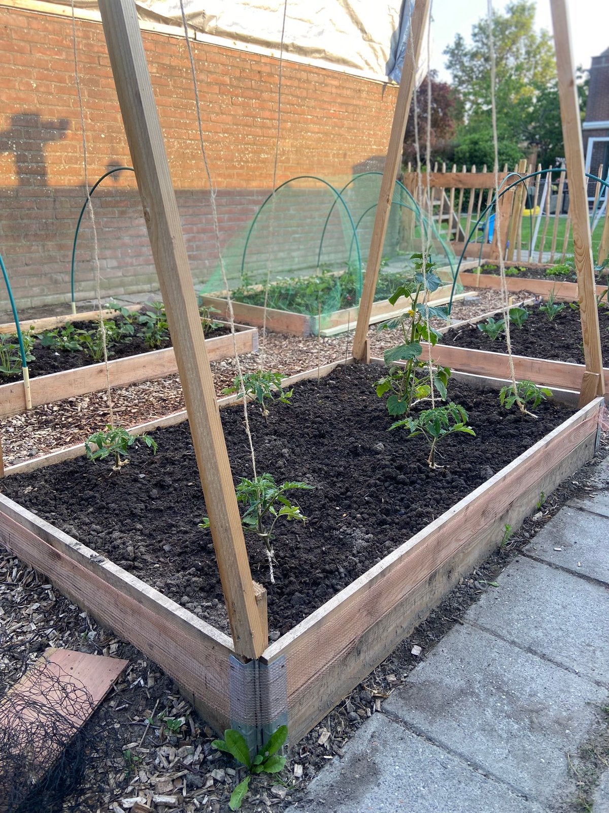 Houten moestuinbakken - 1,60m x 1m - 5 voor €30,-, Ophalen, Minder dan 30 cm, 100 cm of meer, Nieuw