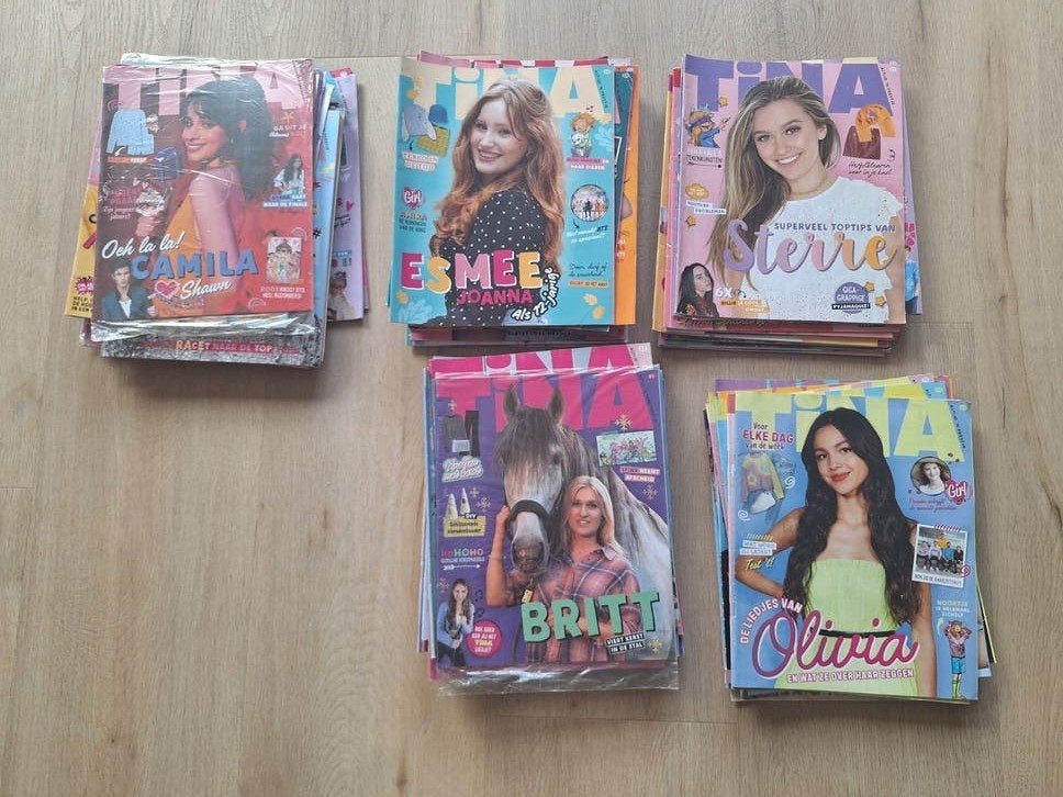 9 Tina boeken en 100+ Tina tijdschriften, Boeken, Ophalen, Gelezen, Damesbladen