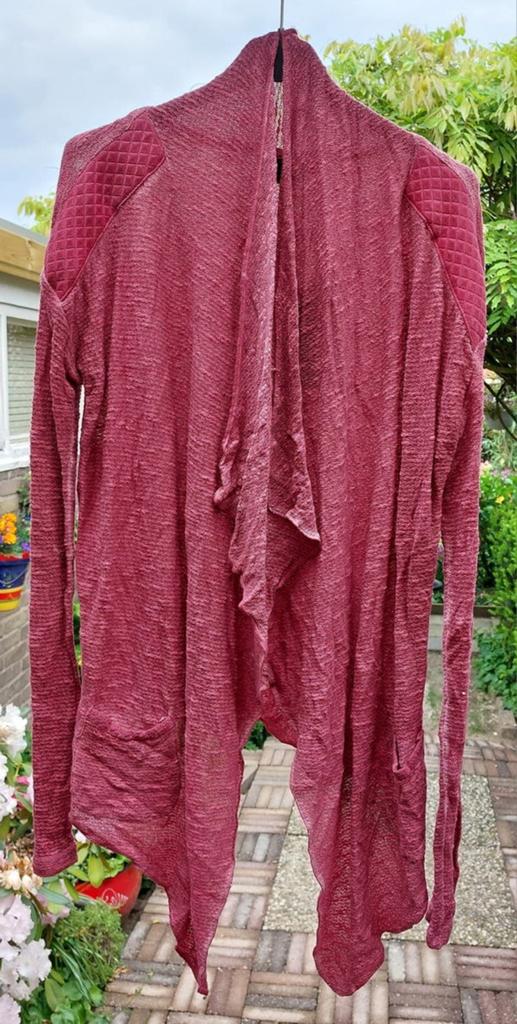 Vest, Ophalen of Verzenden, Nieuw, Maat 46/48 (XL) of groter, Roze