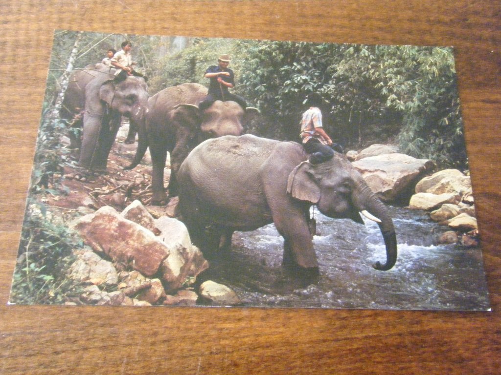 T31 - Thailand - Olifant - Mooi/Oud, Ophalen of Verzenden, 1960 tot 1980, Buiten Europa