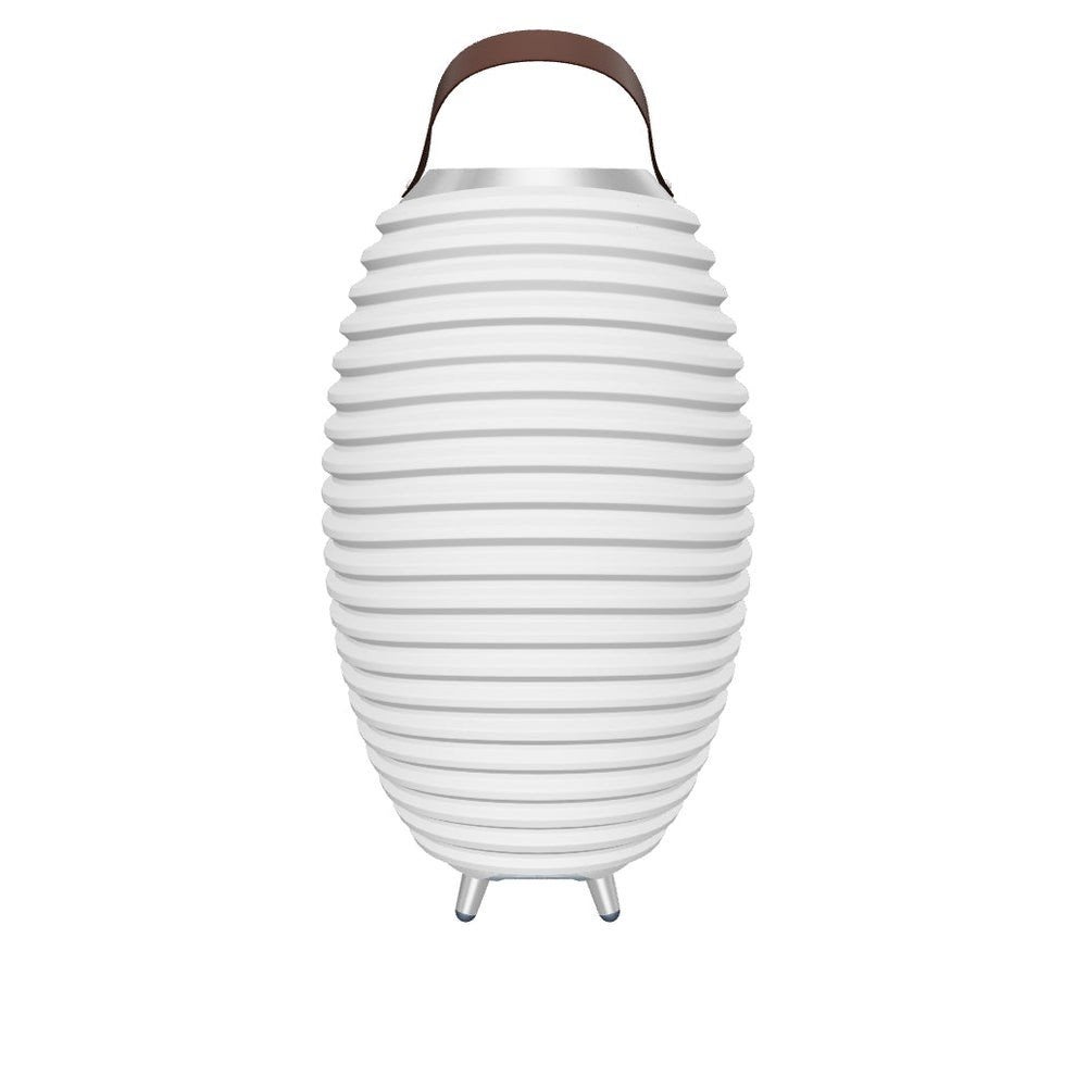 Kooduu Synergy 50 Pro LED Bluetooth Speaker & Wijnkoeler, Huis en Inrichting, Woonaccessoires | Overige, Nieuw, Kunststof, Wit