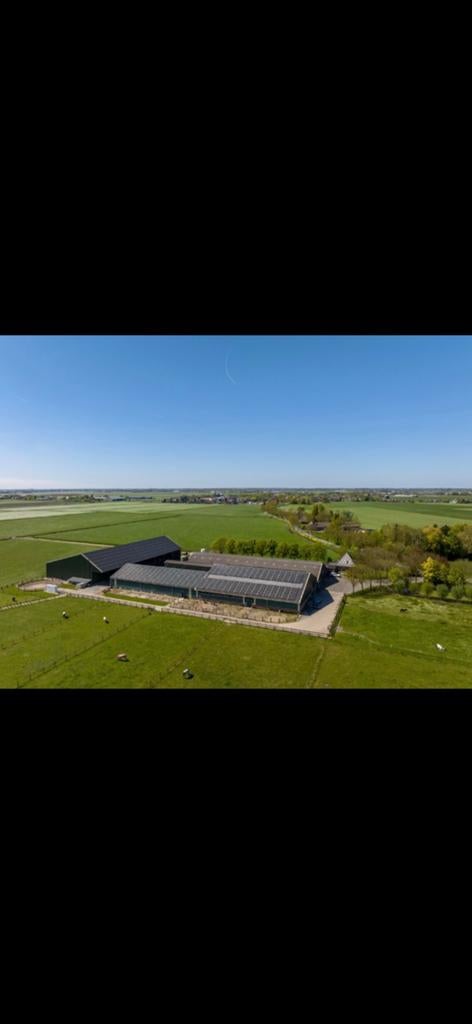 Stal vrij op boerderij
