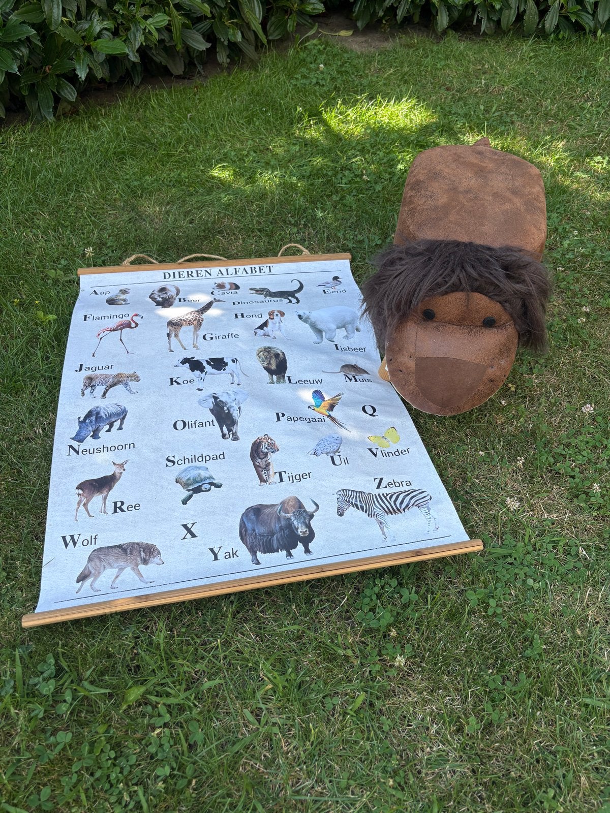Dieren Alfabet Poster & Leeuwenkruk, Ophalen, Gebruikt, Taal en Lezen