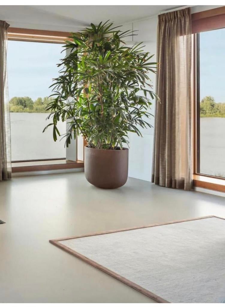 Van Besouw vloerkleed 120x190 cm, Ophalen, 100 tot 150 cm, Beige, Zo goed als nieuw