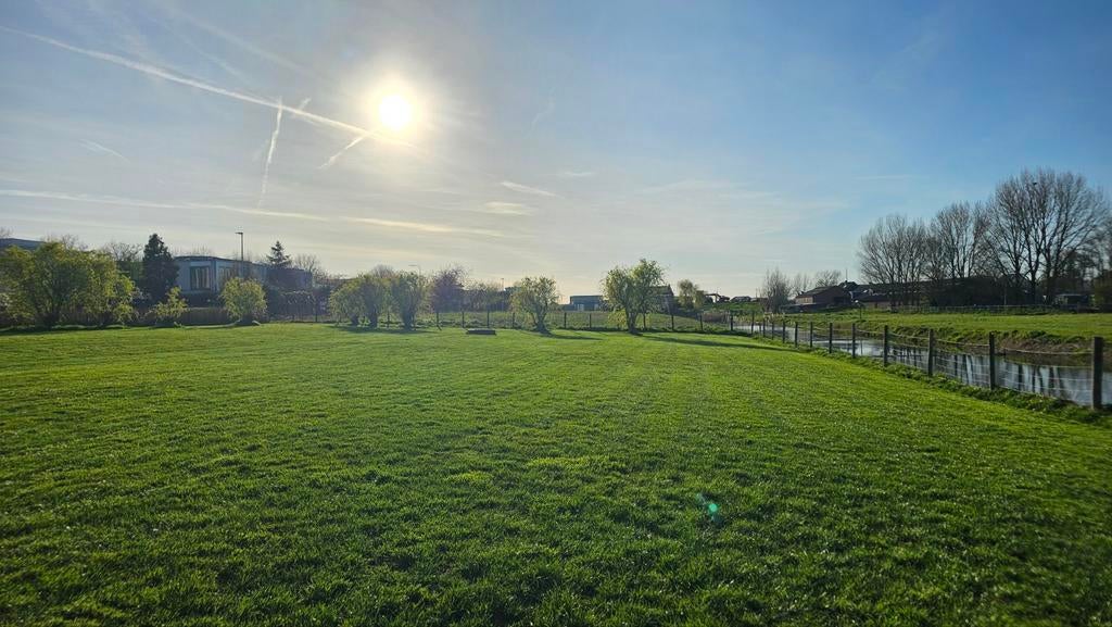 Te huur: omheind trainings veld (2500m2) in Alphen  a/d Rijn, Dieren en Toebehoren, Stalling en Weidegang, Weidegang, 4 paarden of pony's of meer