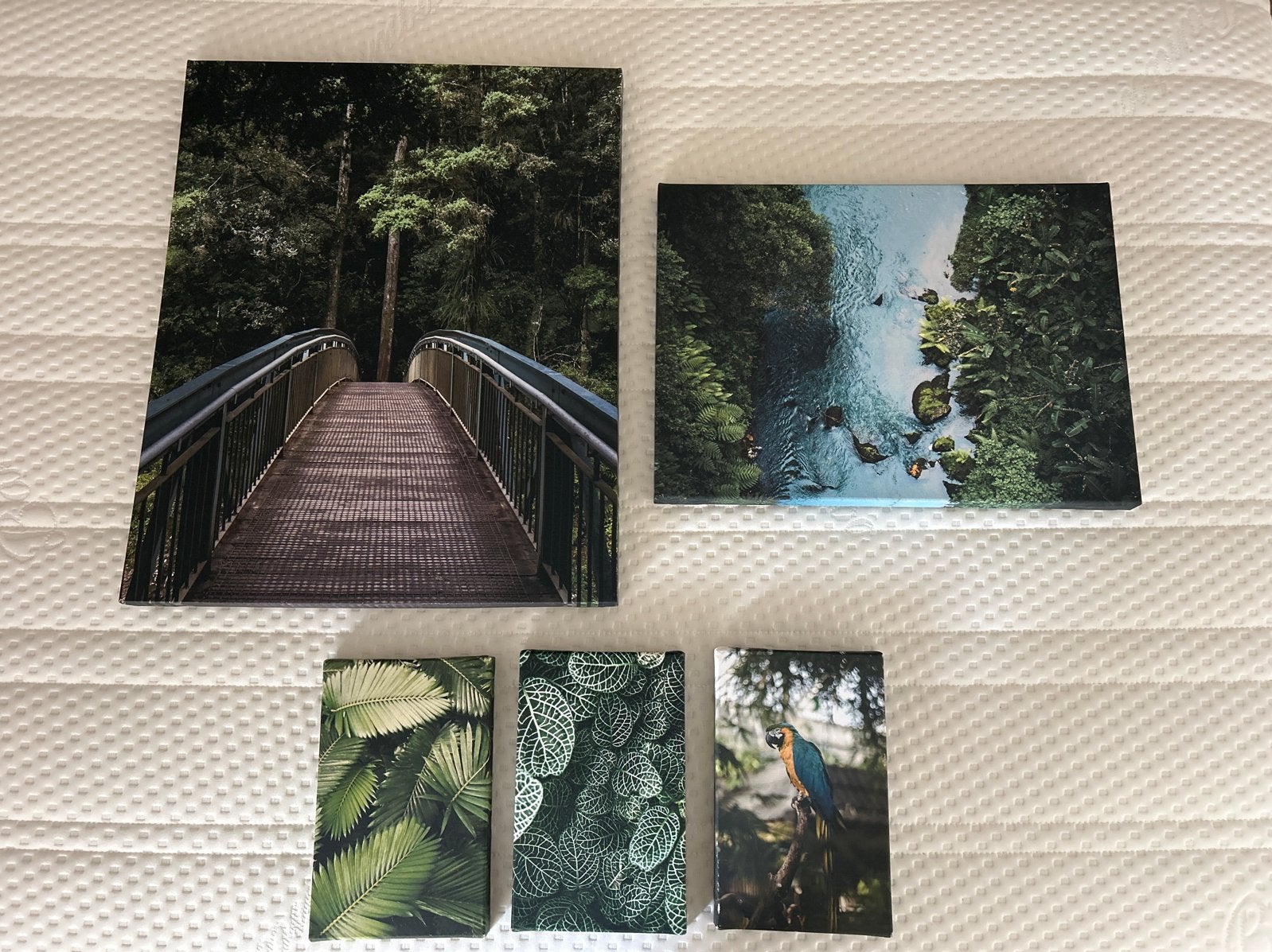 Canvas schilderijen  jungle thema, Ophalen, Minder dan 50 cm, Schilderij