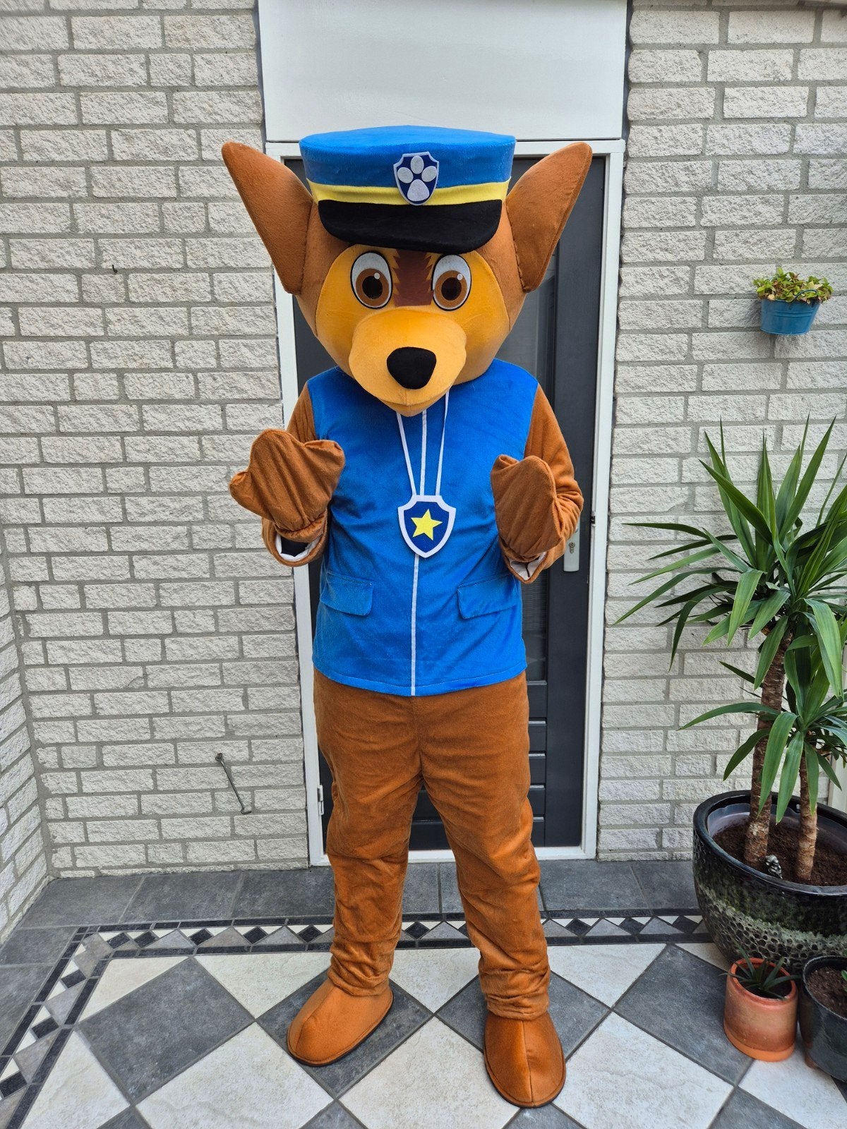 Paw patrol pak huren chase of marshall Breda, Ophalen