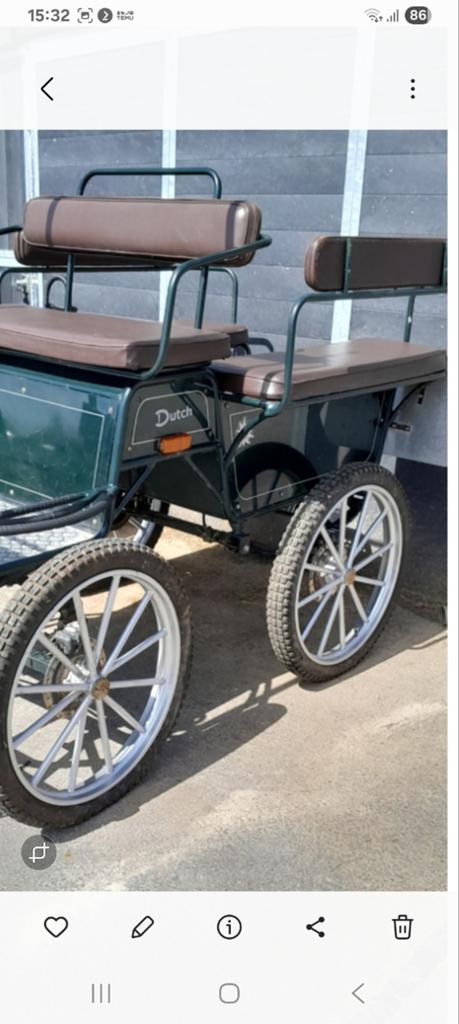 Recreatie wagentje donker groen, Gebruikt, Marathonwagen, Pony