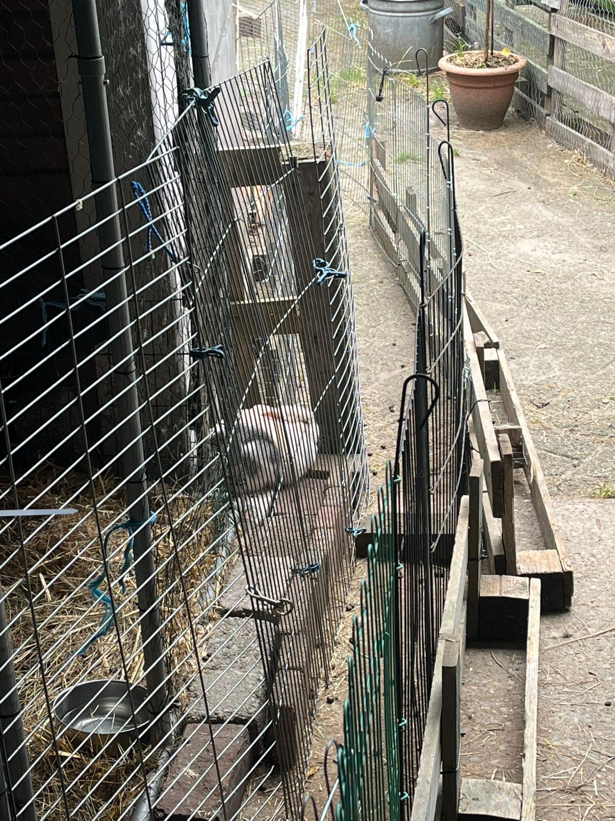 Gevraagt, gewone pallets( soest), Ophalen of Verzenden, Zo goed als nieuw, Minder dan 10 meter